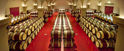 Tour dei vini di Bolgheri | Degustazione di vini in Toscana