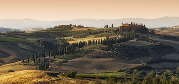 Private driver, luxury car service, sightseeing tours, transfers in Tuscany