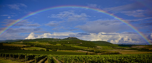 Tour del Brunello di Montalcino | Degustazione di vini in Toscana