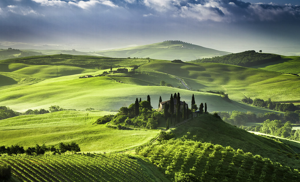 Tour del Brunello di Montalcino | Degustazione di vini in Toscana