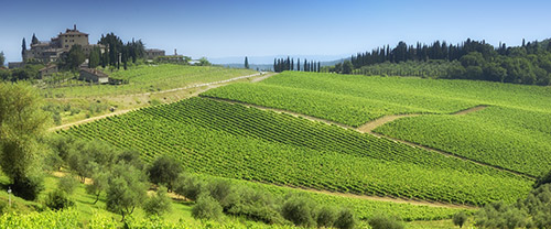 Tour del Chianti Classico | Degustazione di vini in Toscana