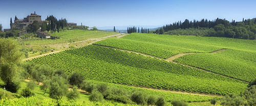 Chianti classico wine tour | Wine tasting in Tuscany