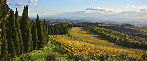 Tour del Chianti Classico | Degustazione di vini in Toscana