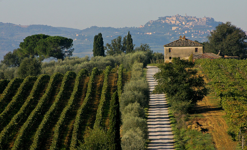 Tour del Nobile di Montepulciano | Degustazione di vini in Toscana