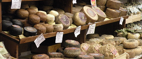 Pecorino sheep cheese Tour in Pienza | Pecorino cheese tasting in Tuscany
