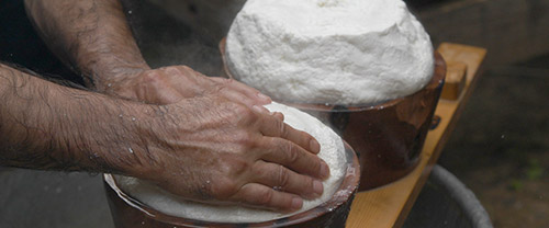 Pecorino sheep cheese Tour in Pienza | Pecorino cheese tasting in Tuscany