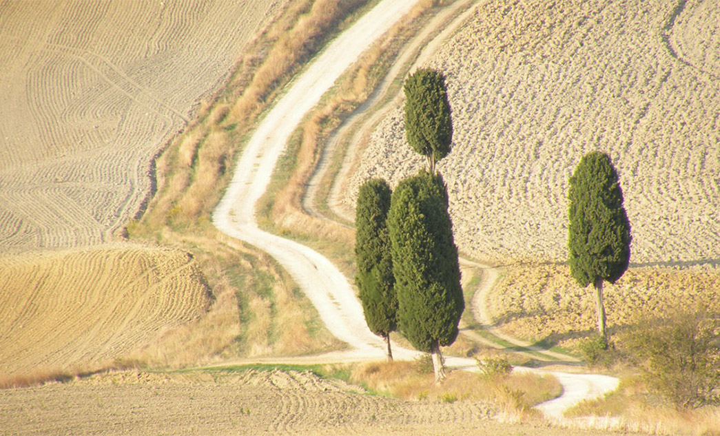 Tour del pecorino | Degustazione di formaggio pecorino a Pienza