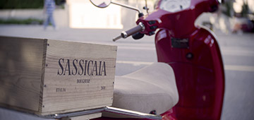 Bolgheri Wine Tour