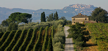 Tour del Nobile di Montepulciano