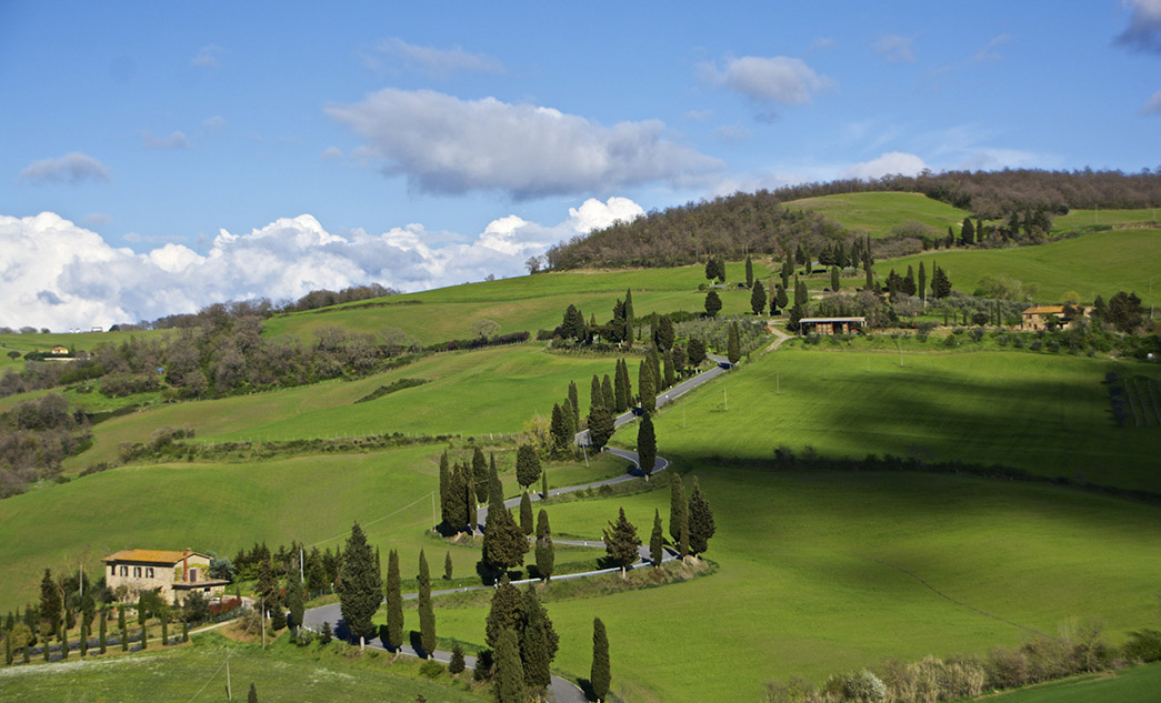 Sightseeing day tour in Val d’Orcia, Tuscany, near Siena