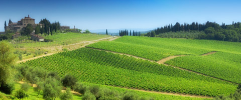 Private driver, luxury car service, sightseeing tours, transfers in Tuscany